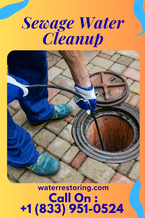 Sewage Water Cleanup in Ashdown, AR